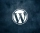 Guia para iniciantes em WordPress em 2024